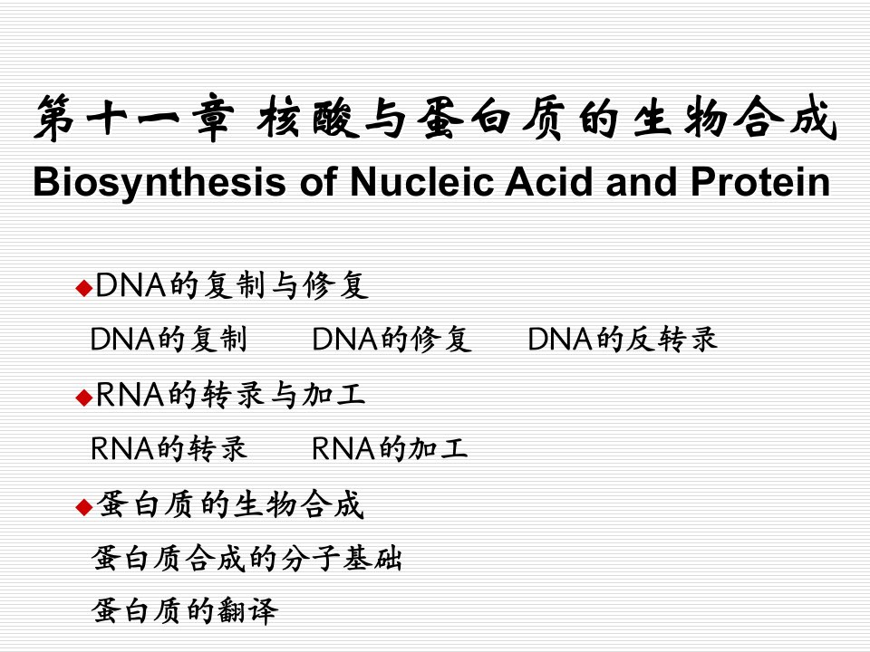 1核酸与蛋白质的生物合成课件