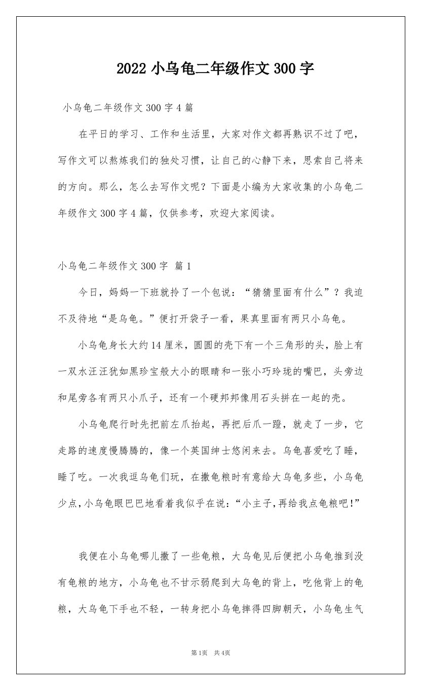 2022小乌龟二年级作文300字