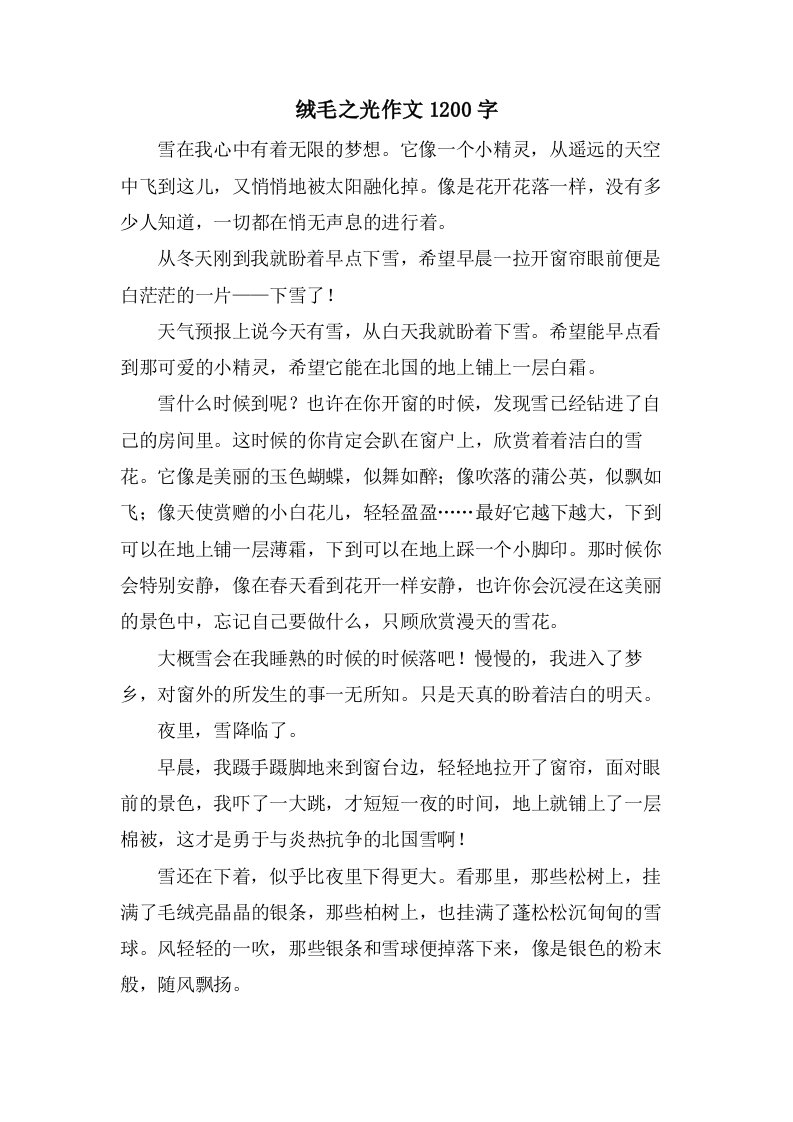 绒毛之光作文1200字