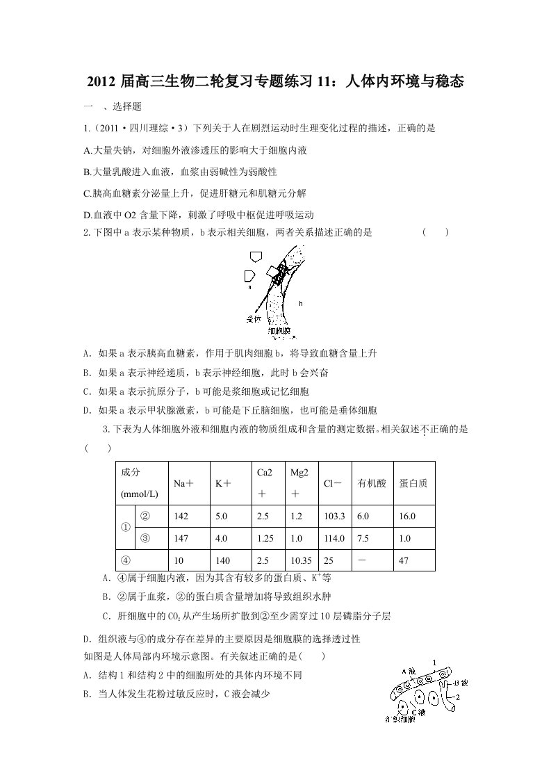 2012届高三生物二轮复习专题练习11：人体内环境与稳态