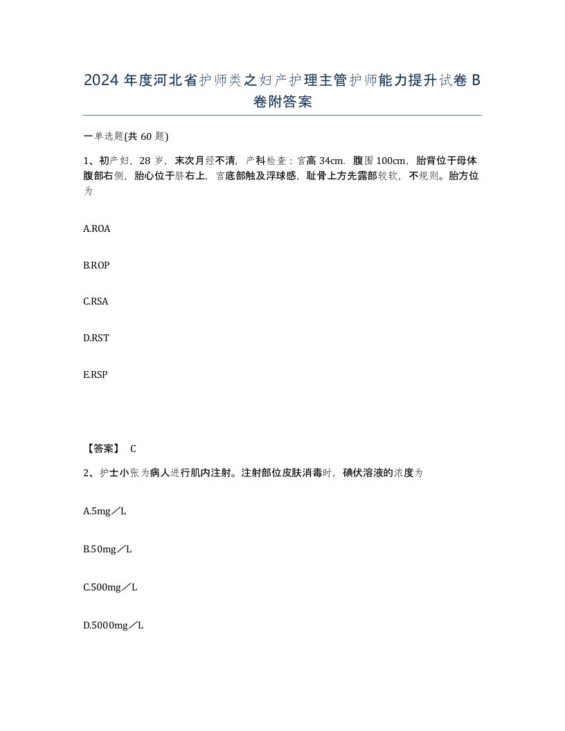 2024年度河北省护师类之妇产护理主管护师能力提升试卷B卷附答案