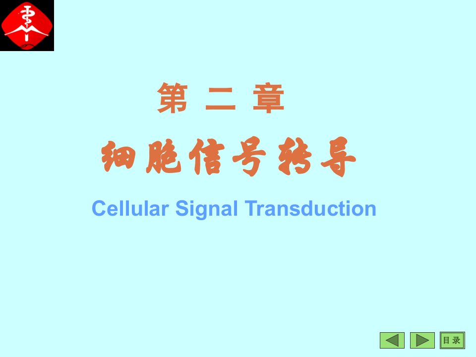 细胞信号转导课件