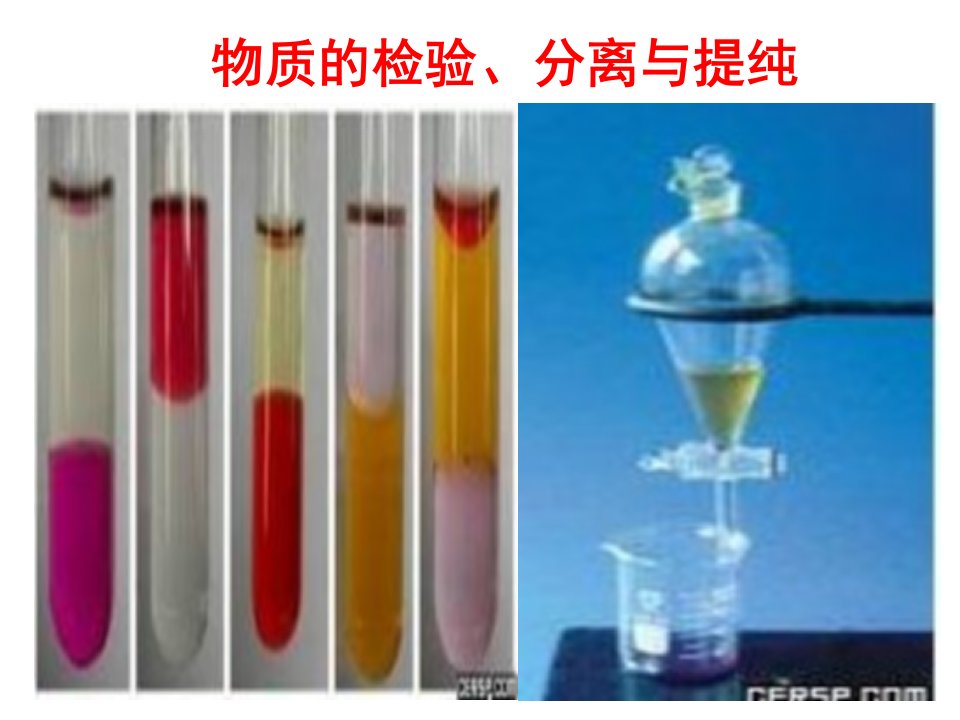 高中化学物质的检验、分离和提纯