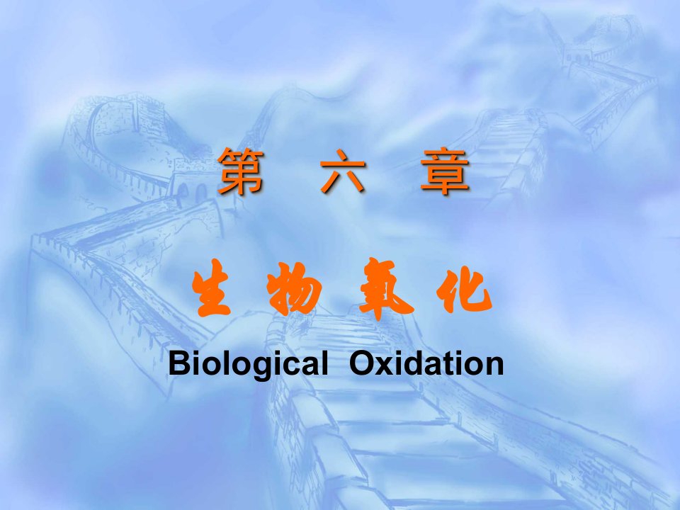 生物化学---生物氧化课件