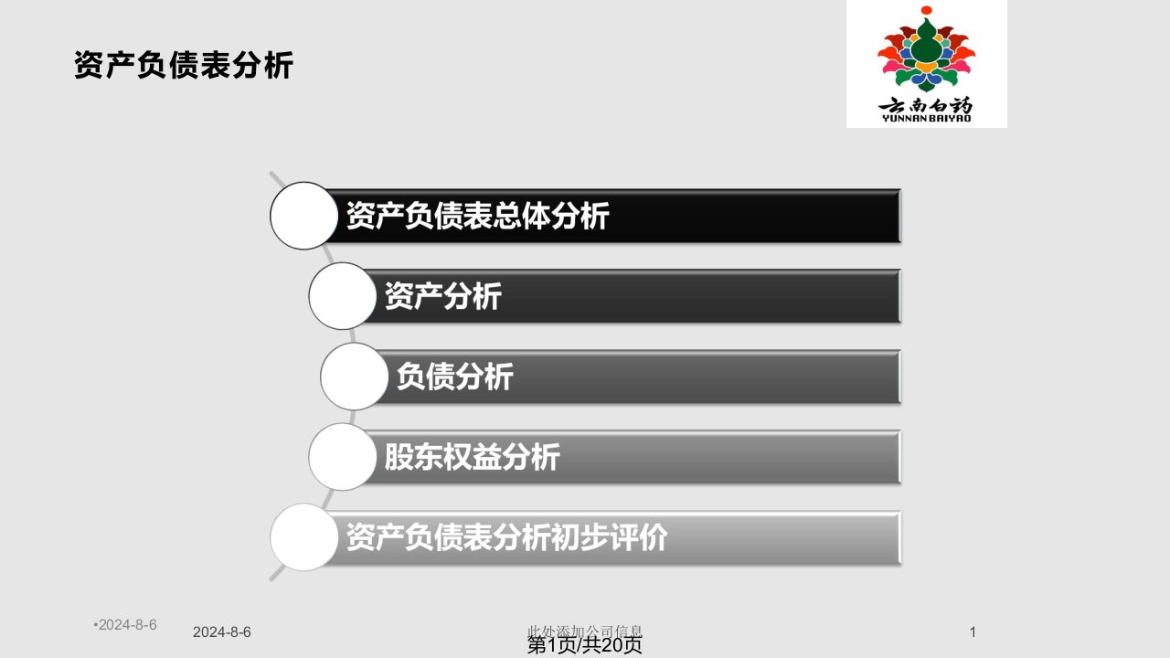 云南白药资产负债表分析