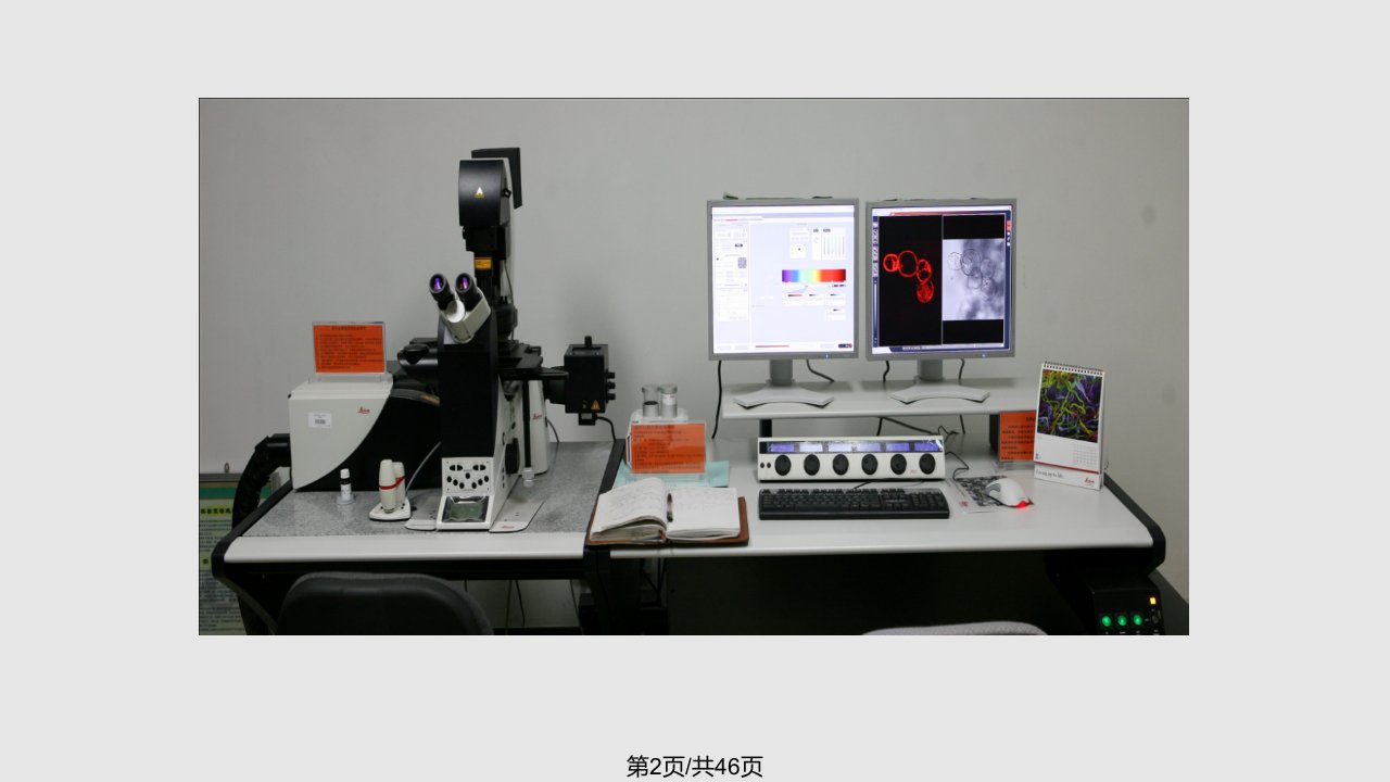 细胞膜和生物膜流动镶嵌模型