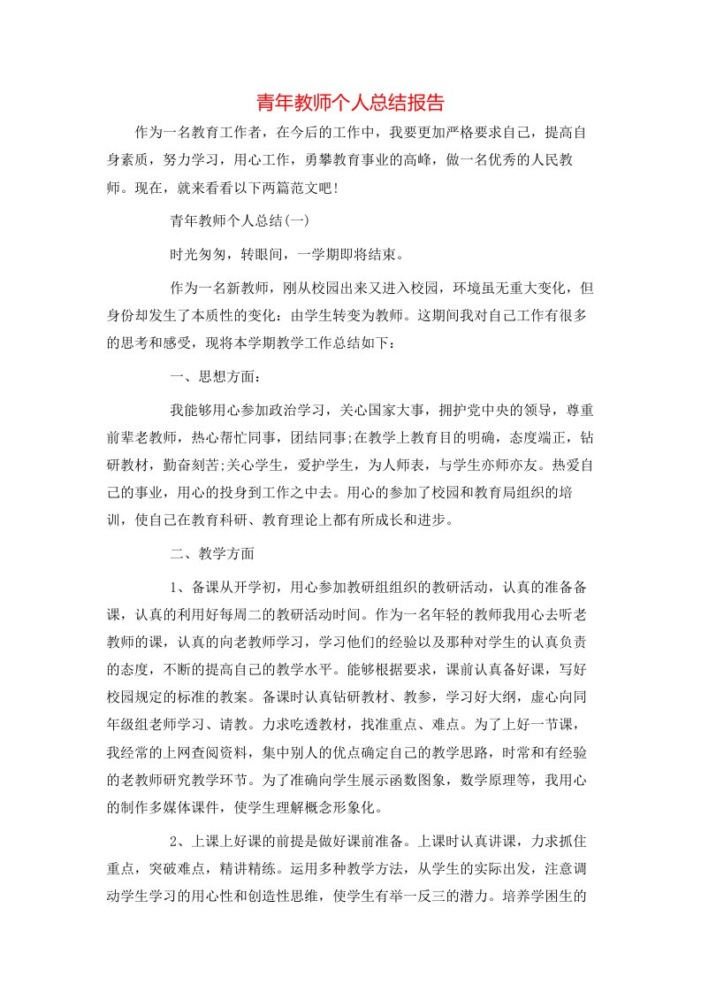 青年教师个人总结报告