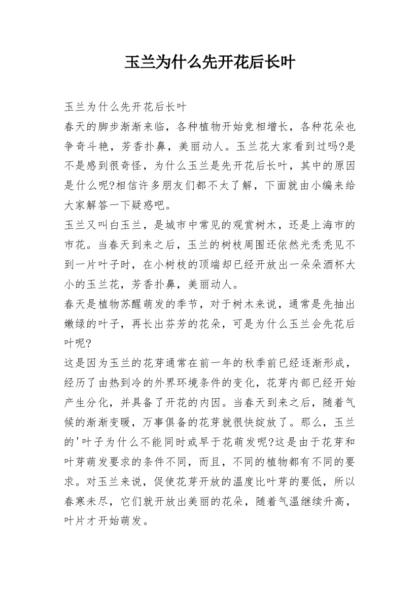 玉兰为什么先开花后长叶_1