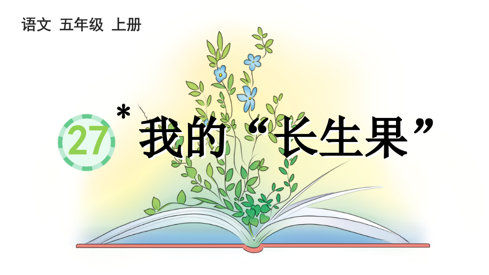 2023年新部编版五年级语文上册《我的“长生果”》课件