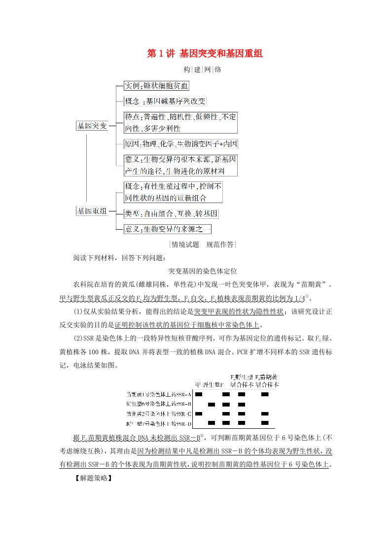 2025版高考生物一轮总复习素养提升必修2第7单元生物的变异育种与进化第1讲基因突变和基因重组