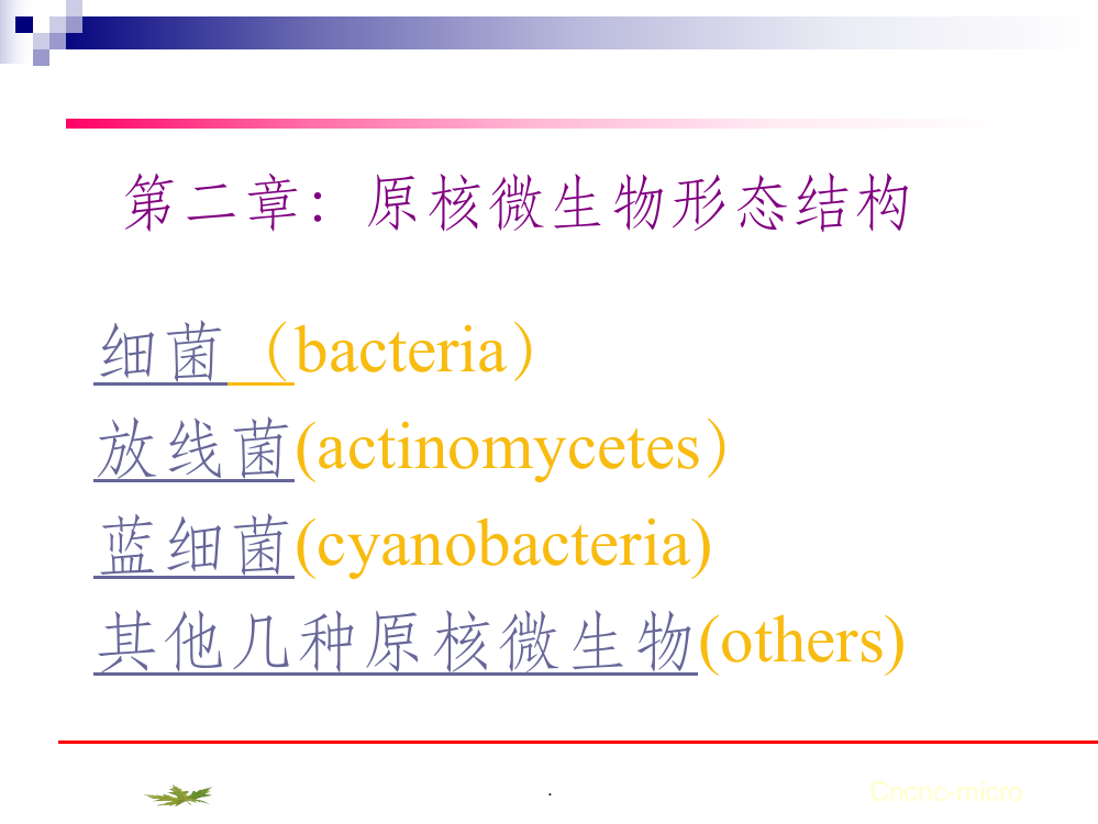 原核微生物形态结构ppt课件