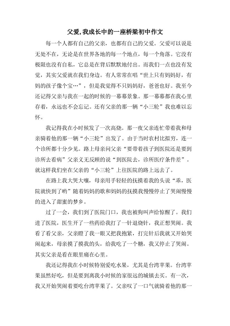 父爱,我成长中的一座桥梁初中作文