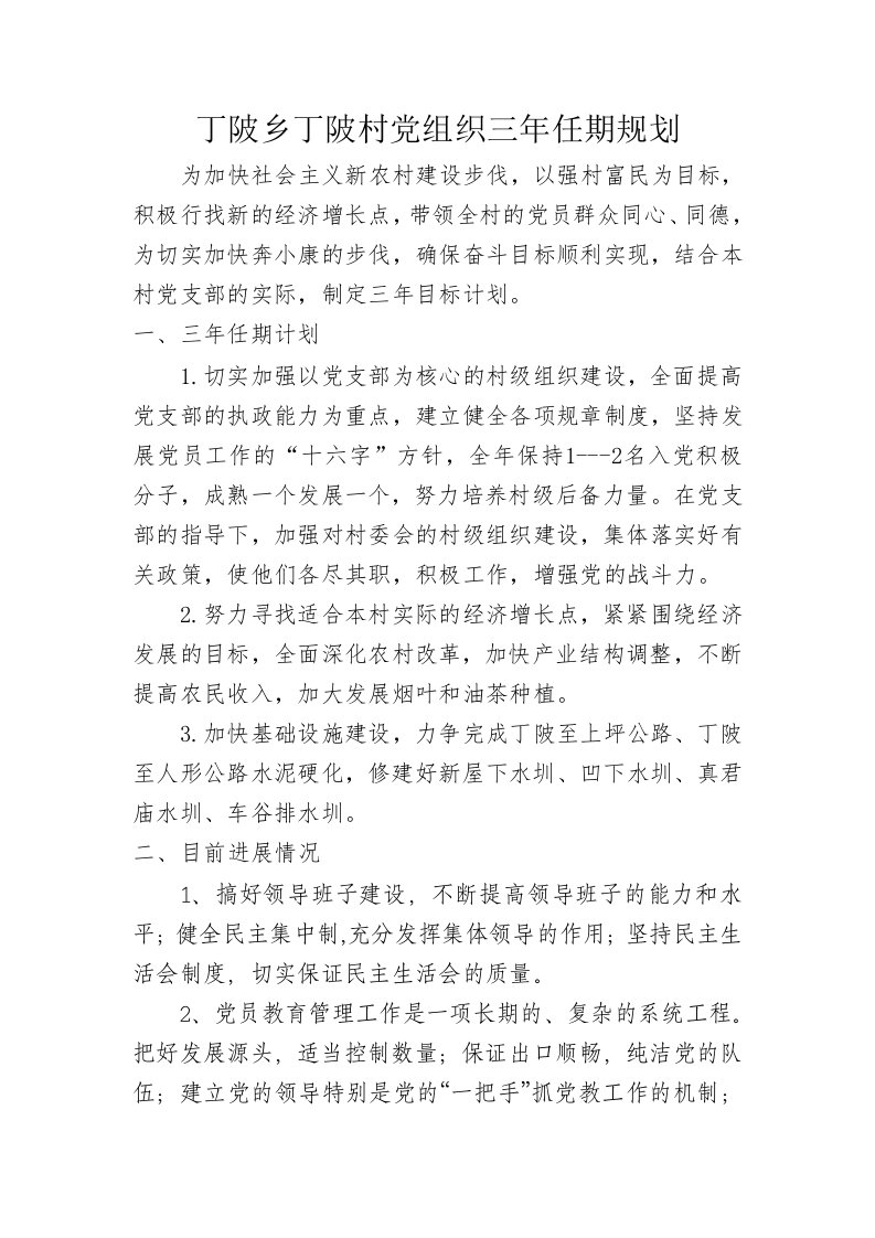 丁陂乡丁陂村党组织三年任期规划