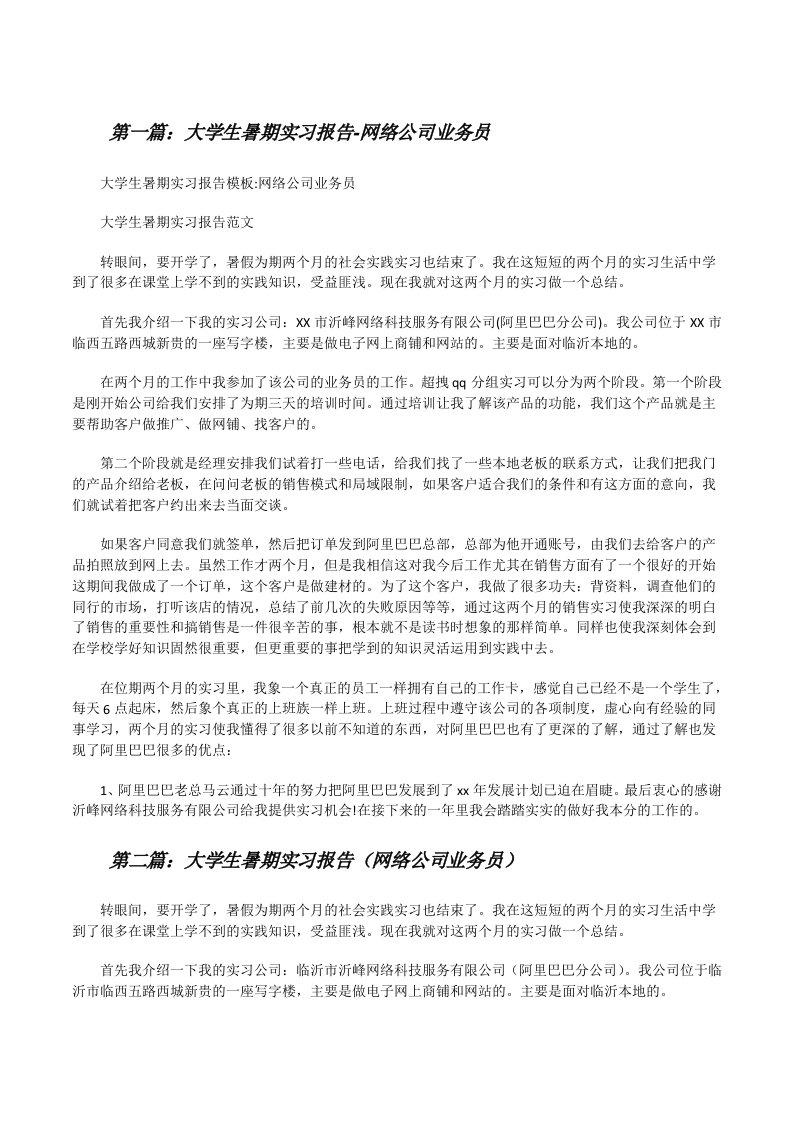 大学生暑期实习报告-网络公司业务员[修改版]