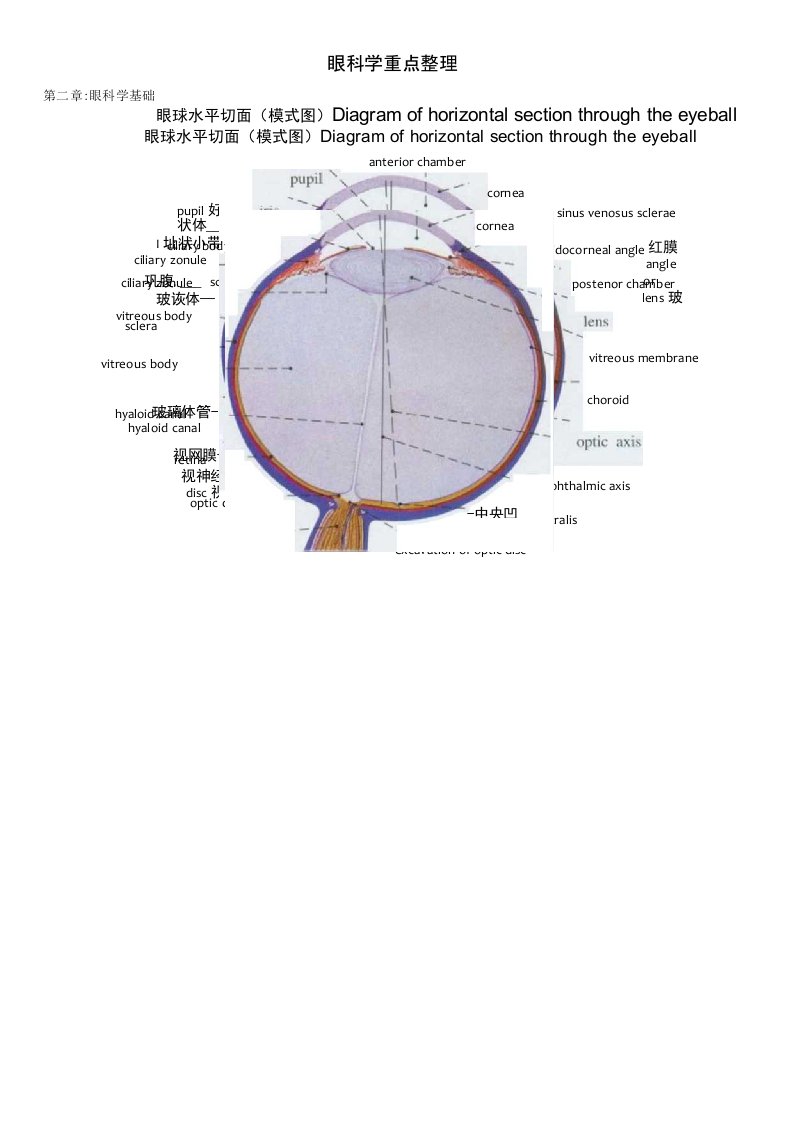 福建医科大学眼科学要点归纳