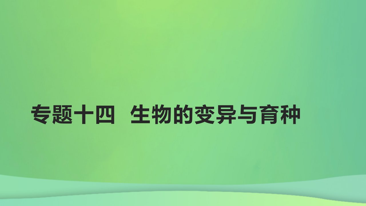 全国通用版2022年高考生物专题复习第六单元专题十四生物的变异与育种课件