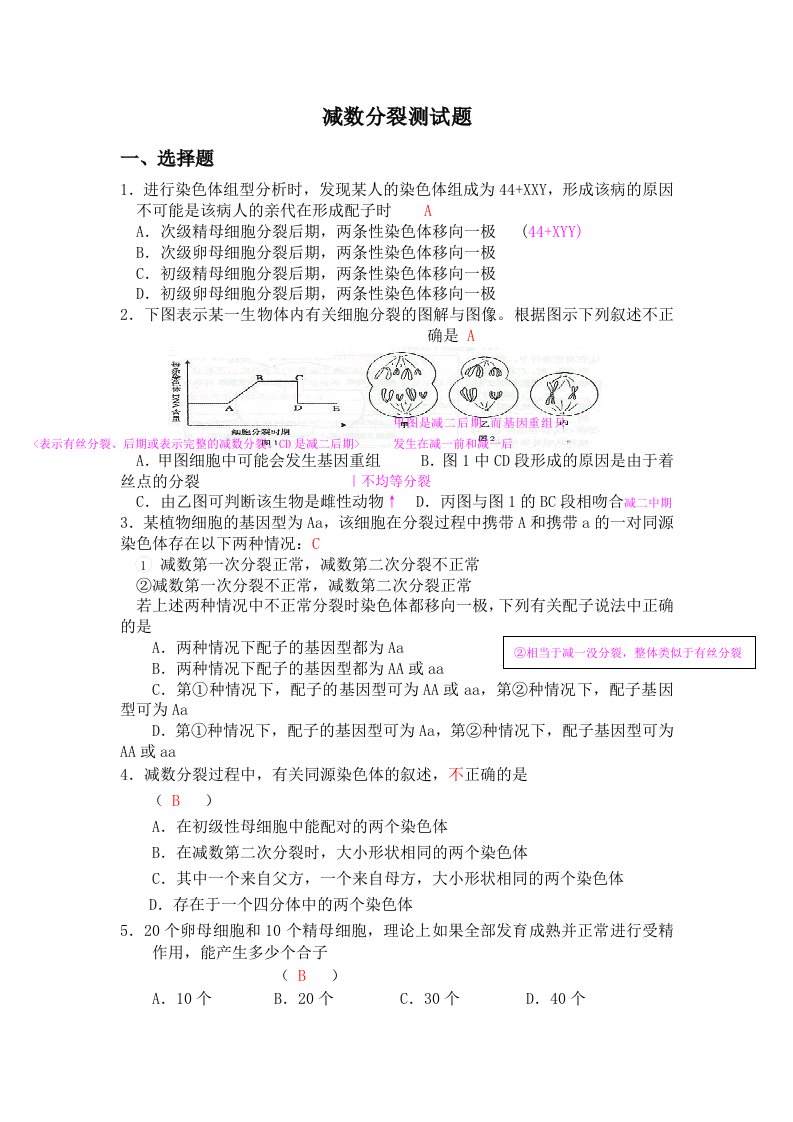 减数分裂测试题详解