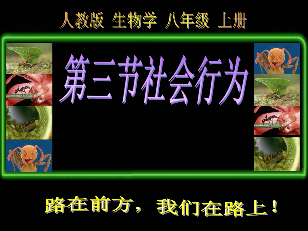 人教版八年级上册5.2.3社会行为(共15张PPT)