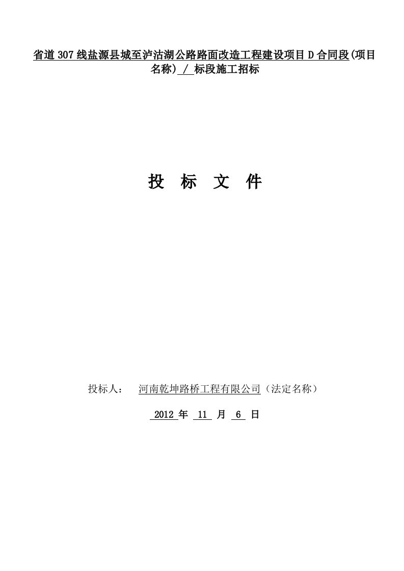 省道线盐源县城至泸沽湖公路路面改造工程建设项目D合同段