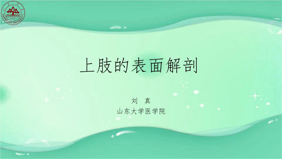 1.上肢的表面解剖