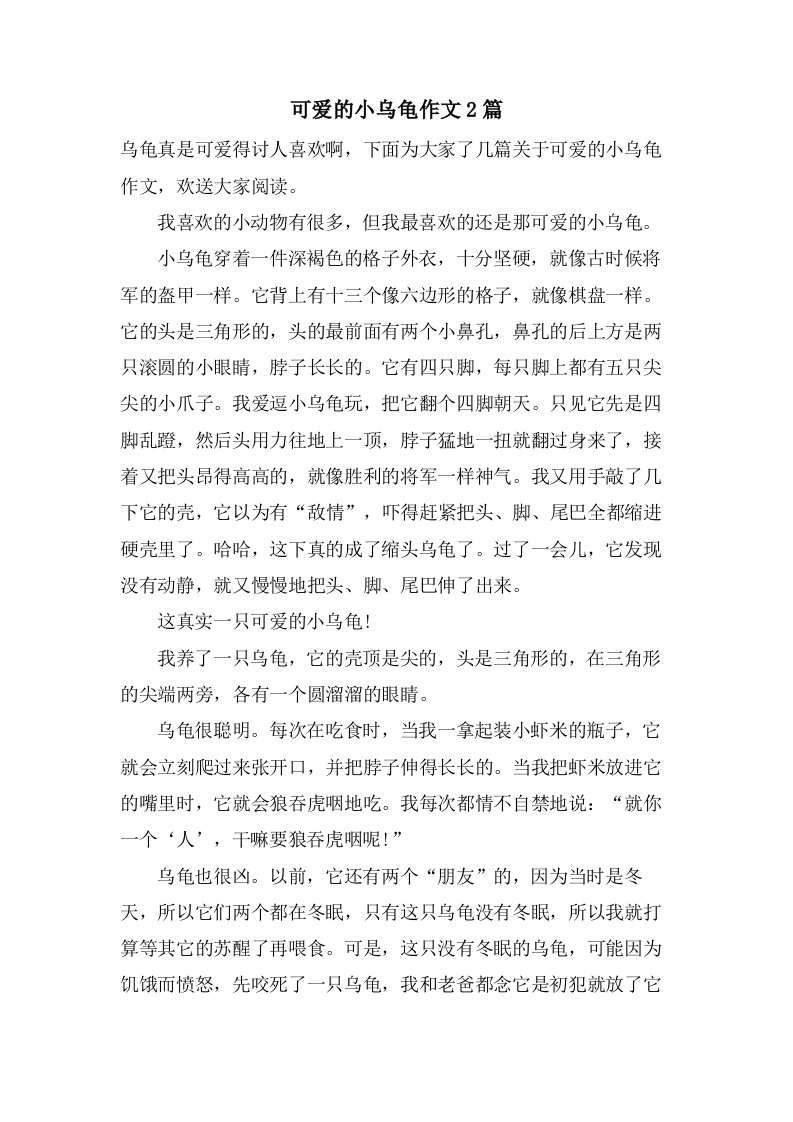 可爱的小乌龟作文2篇