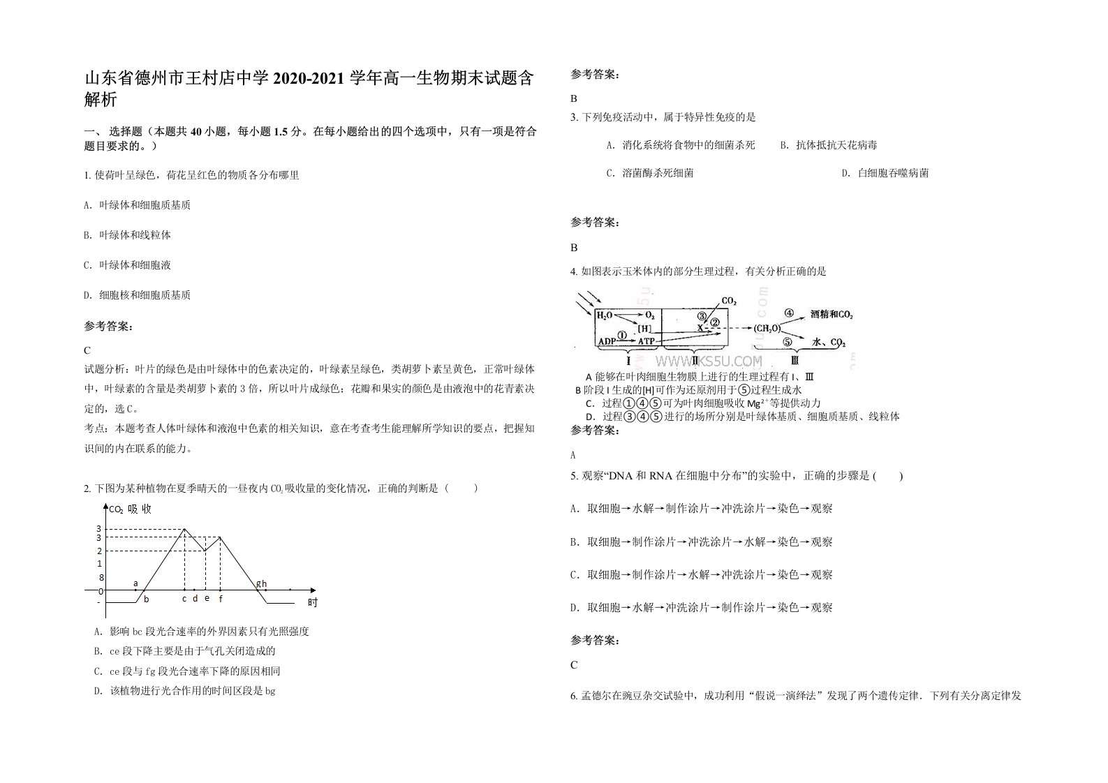 山东省德州市王村店中学2020-2021学年高一生物期末试题含解析