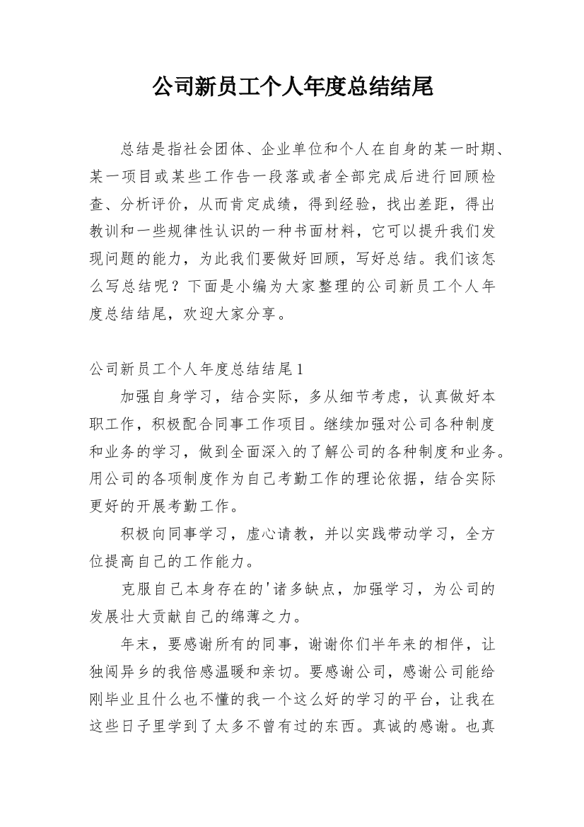 公司新员工个人年度总结结尾