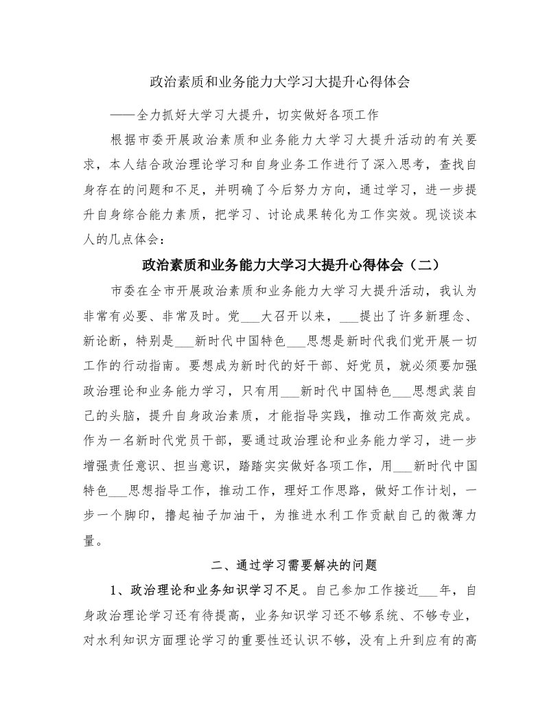 政治素质和业务能力大学习大提升心得体会