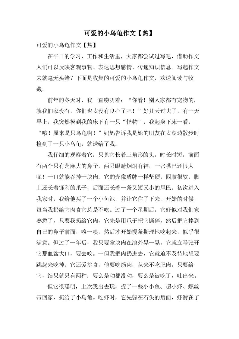 可爱的小乌龟作文