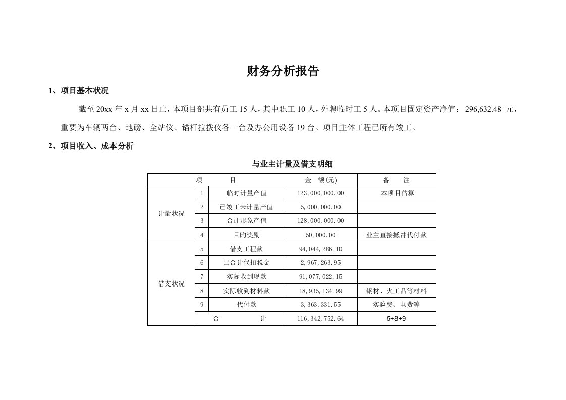 专项项目财务分析报告