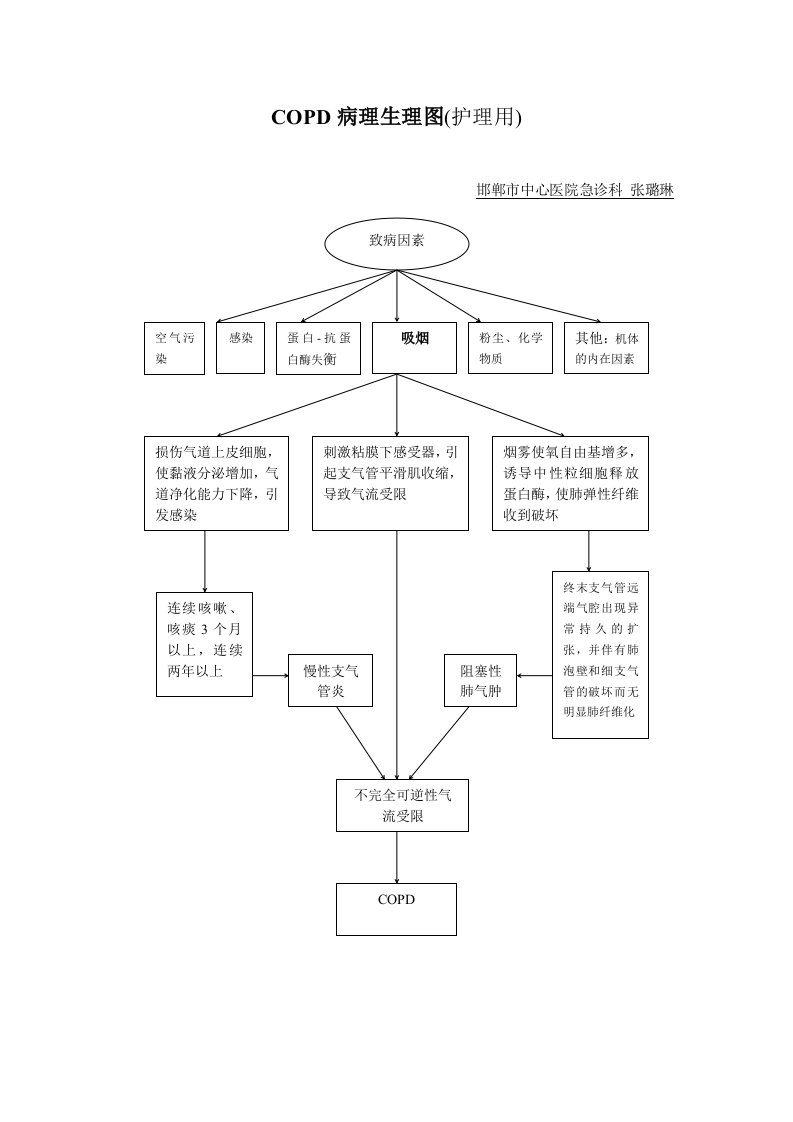 COPD病理生理图