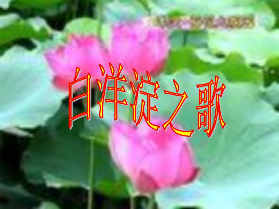 芦花荡课件1本科是一篇小说首先应了解与小说有关的知识解析