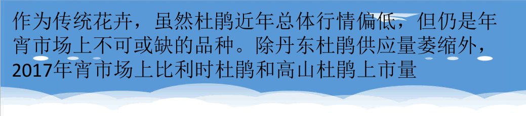 推荐-杜鹃供货增加销售平稳