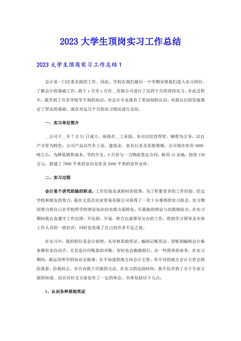 2023大学生顶岗实习工作总结