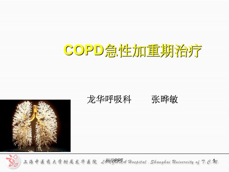 《AECOPD治疗》PPT课件