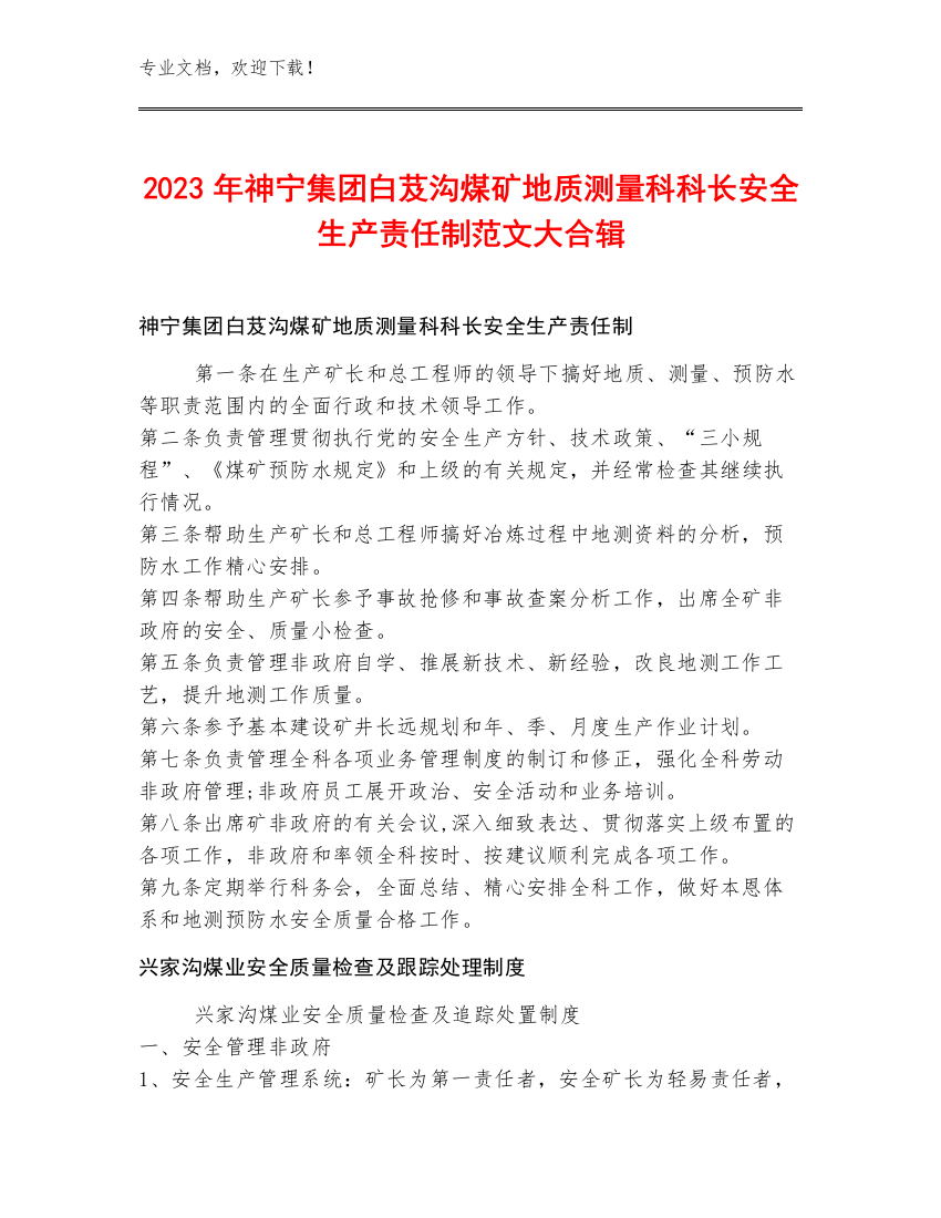 2023年神宁集团白芨沟煤矿地质测量科科长安全生产责任制范文大合辑