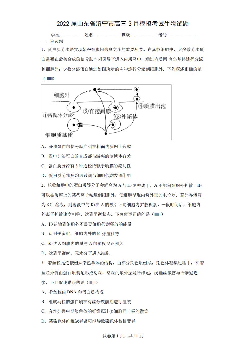 2022届山东省济宁市高三3月模拟考试生物试题(含答案解析)