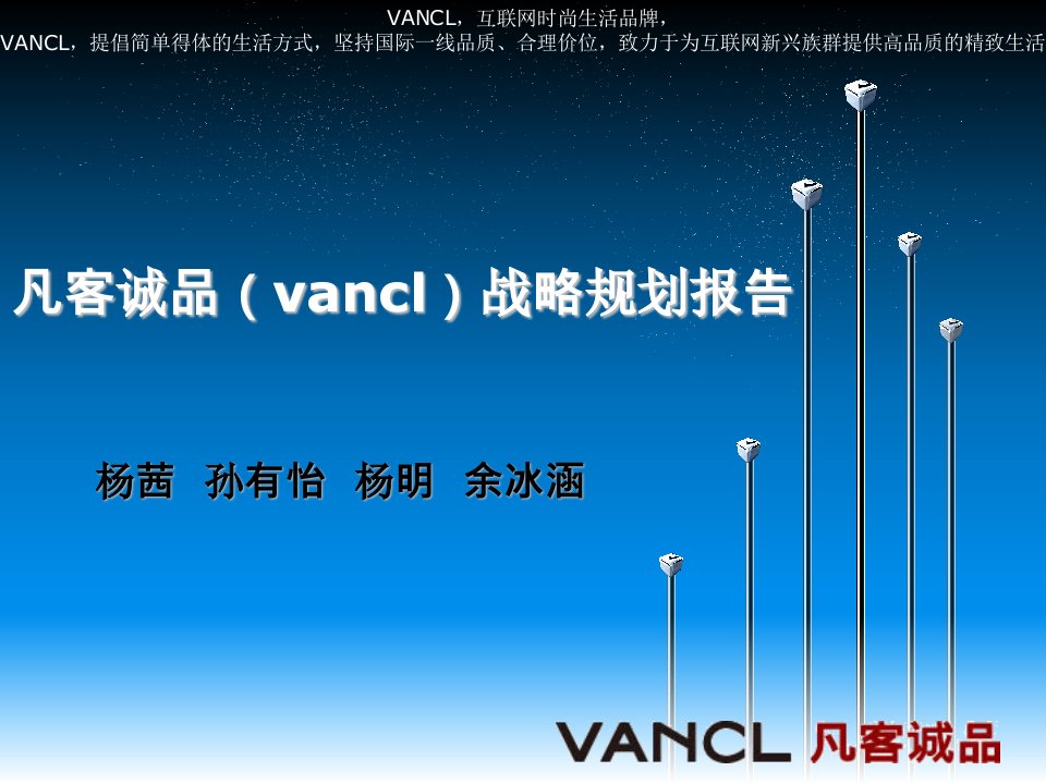 凡客诚品(vancl)战略规划报告