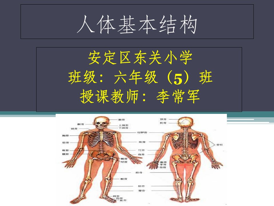 人体基本结构(1)