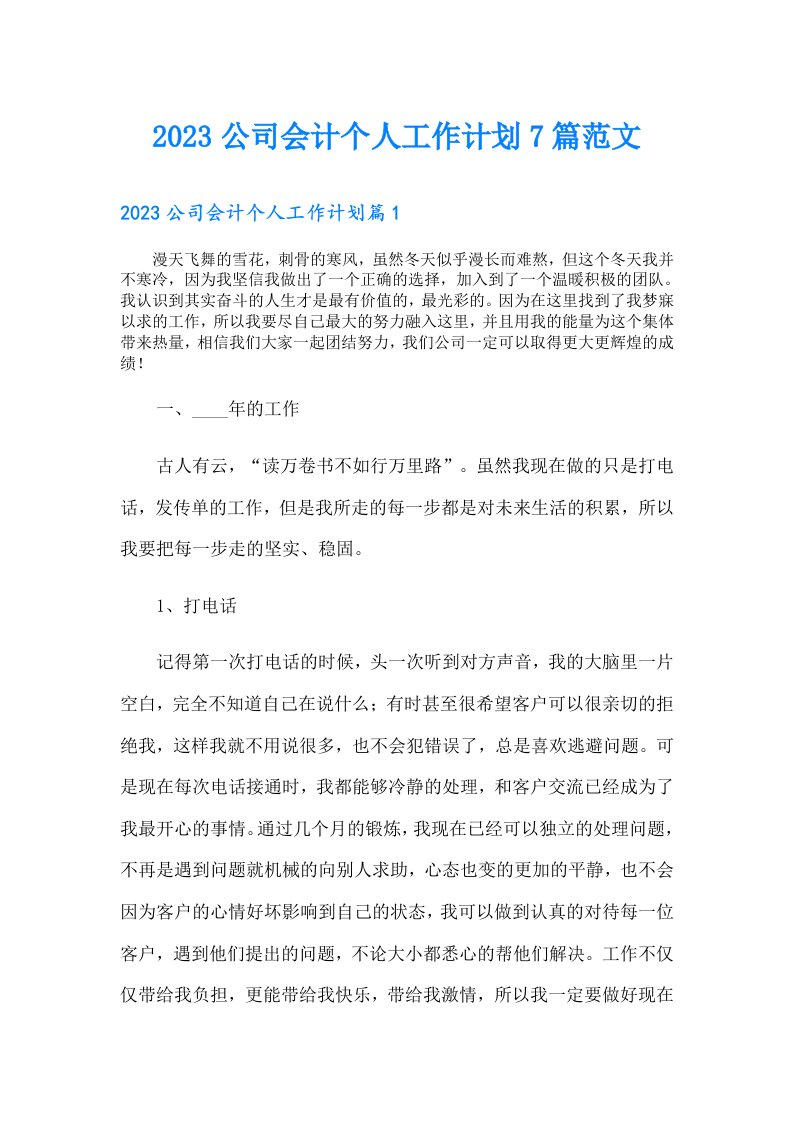 公司会计个人工作计划7篇范文