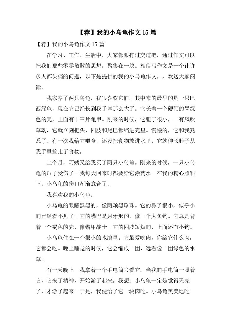 我的小乌龟作文15篇