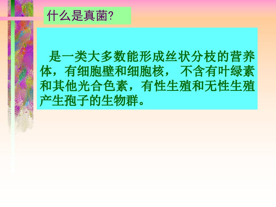 教学课件第二章植物病原真菌