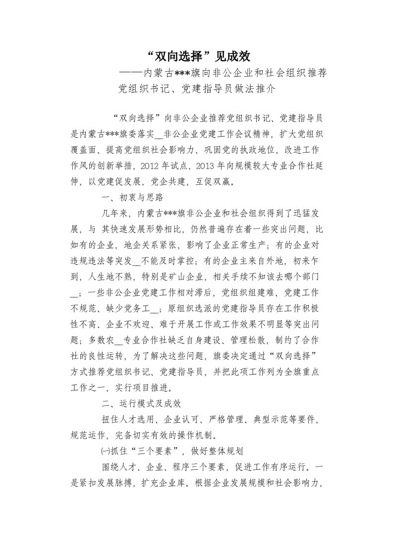 非公企业党建经验交流