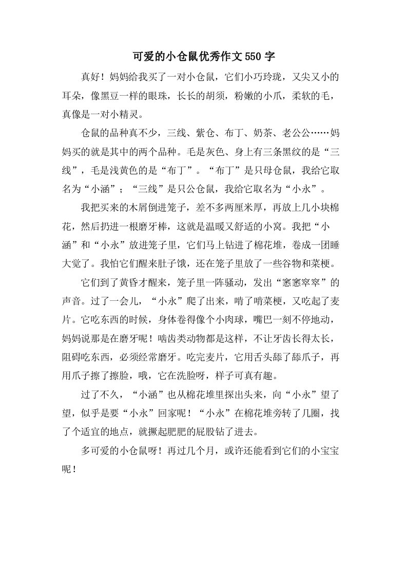 可爱的小仓鼠作文550字