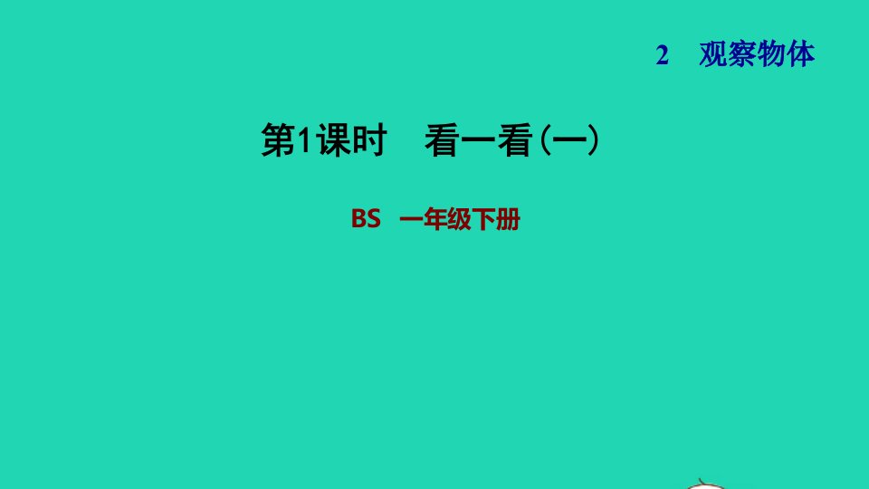 2022一年级数学下册第2单元观察物体第1课时看一看一习题课件北师大版