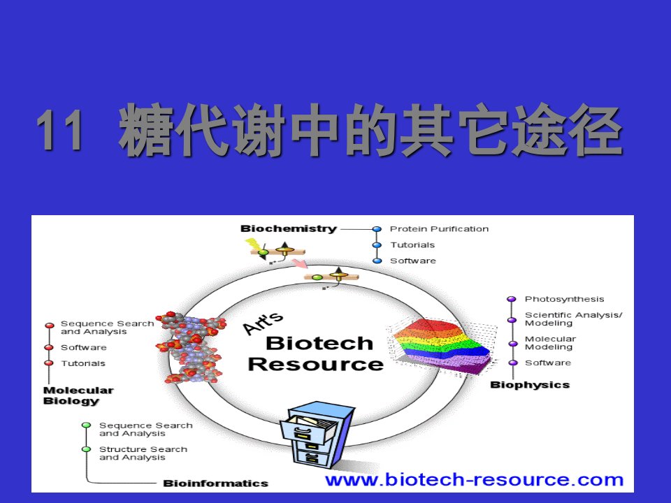 糖代谢中的其它途径