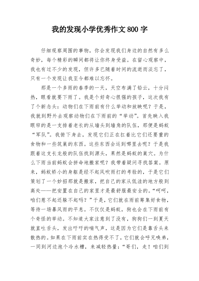 我的发现小学优秀作文800字