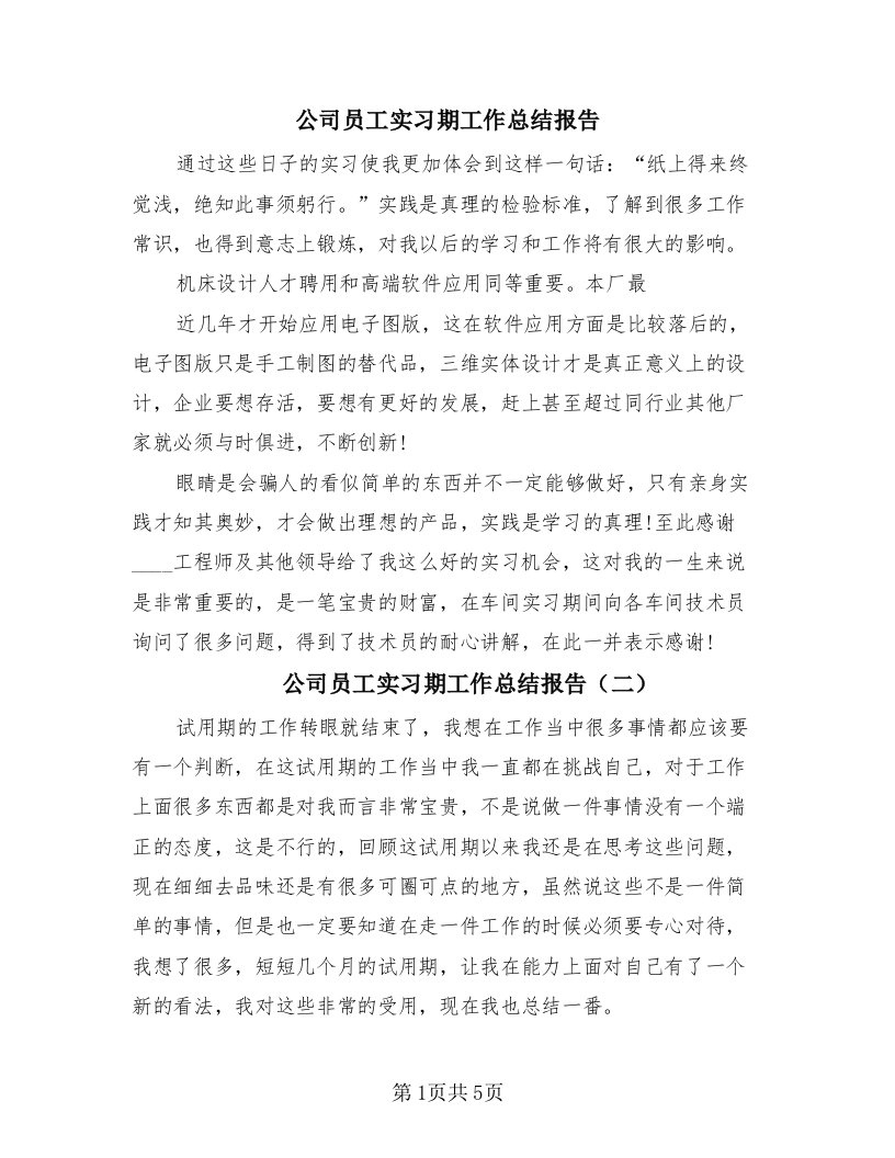 公司员工实习期工作总结报告（4篇）