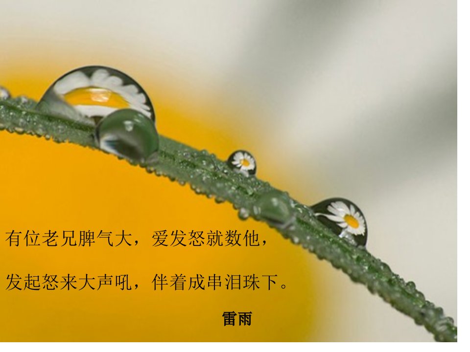 做课用人教版小学语文二年级《雷雨》PPT市公开课一等奖省名师优质课赛课一等奖课件