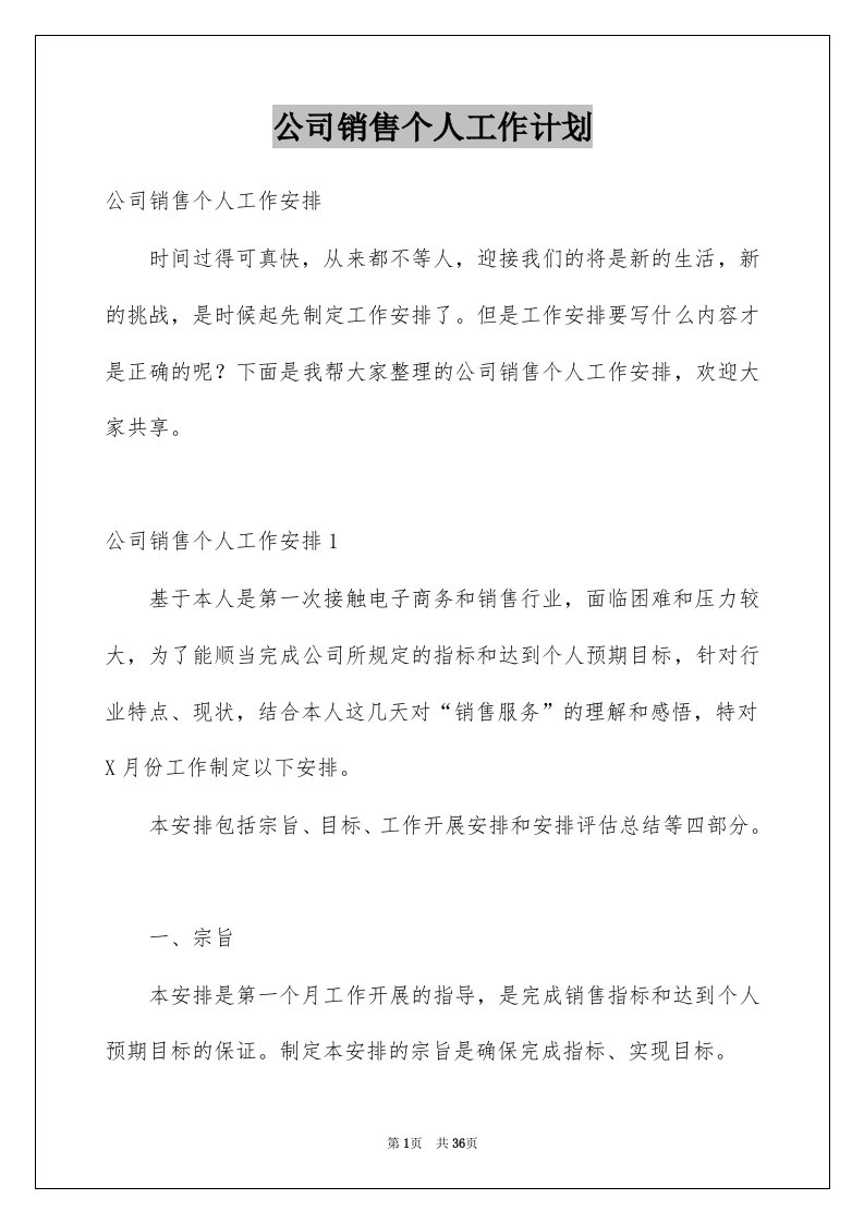 公司销售个人工作计划精选